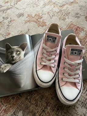Chick Taylor all star converse low top